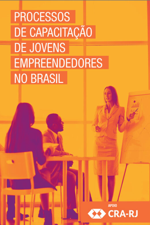 PROCESSOS DE CAPACITAÇÃO DE JOVENS EMPREENDEDORES NO BRASIL