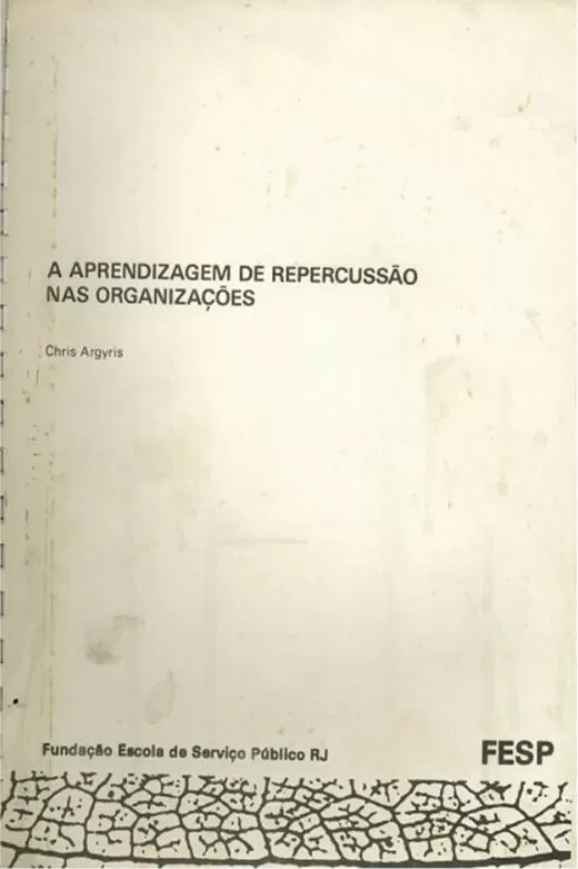 A Aprendizagem de Repercussão nas Organizações