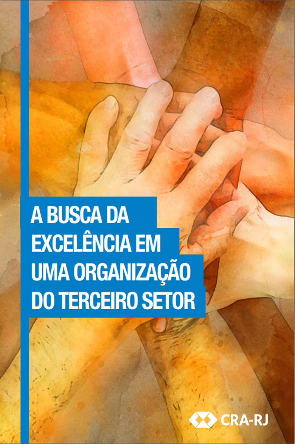 A busca da excelência em uma organização do terceiro setor