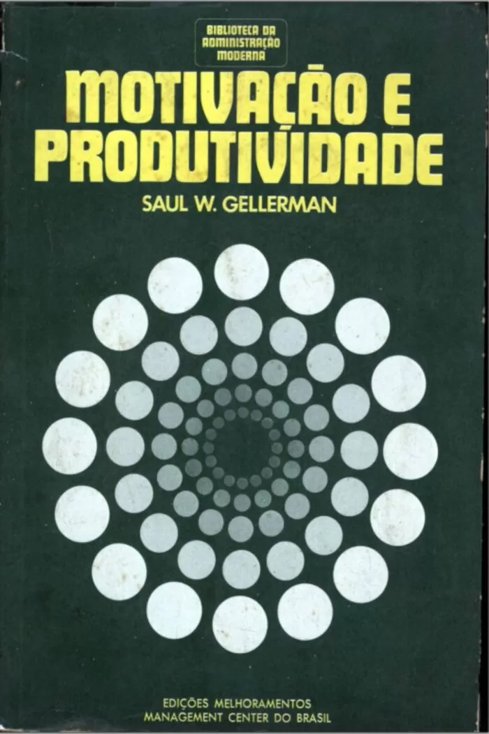 MOTIVAÇÃO E PRODUTIVIDADE