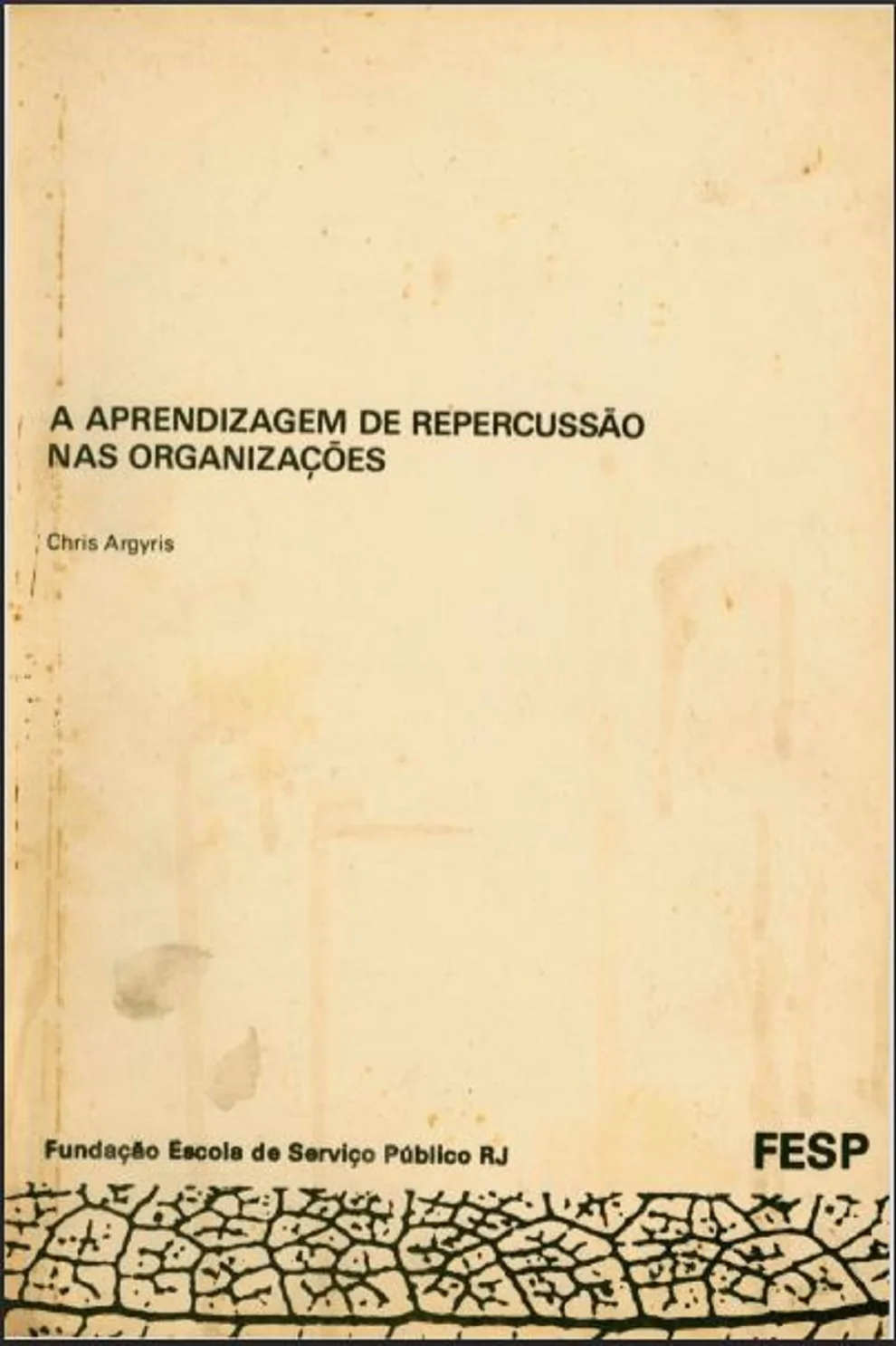 A APRENDIZAGEM DE REPERCUSSÃO NAS ORGANIZAÇÕES
